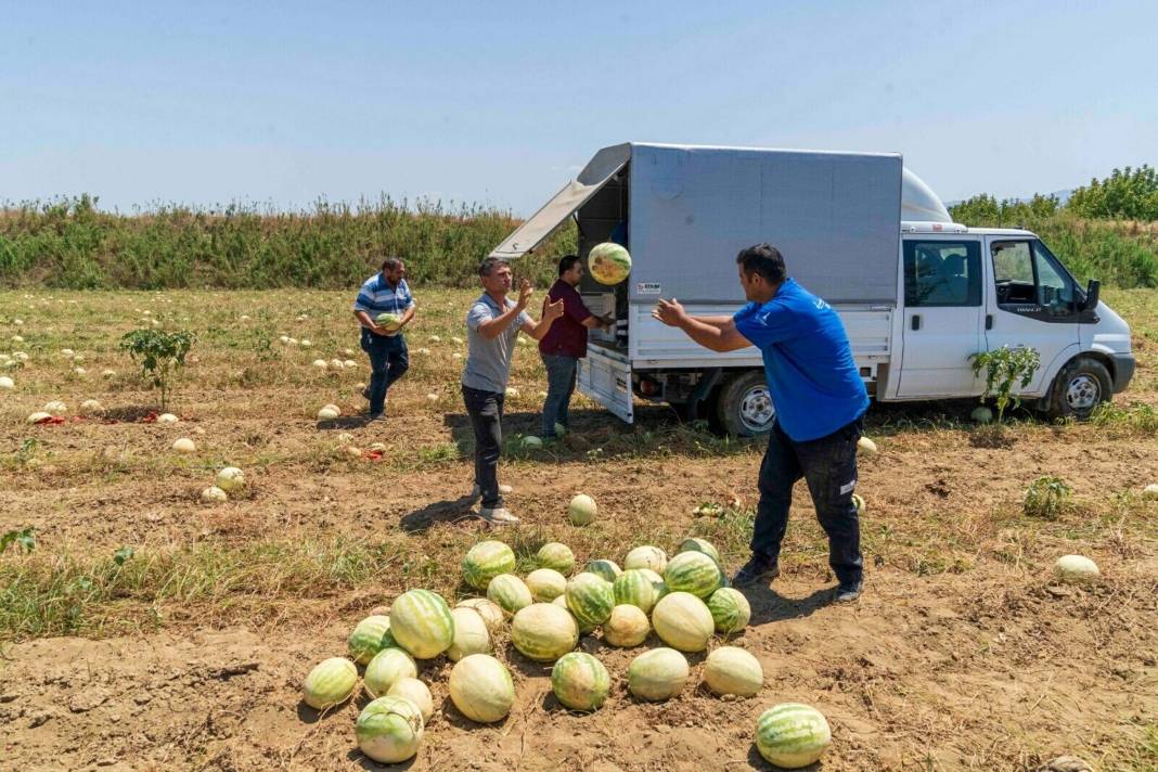 İzmir Tire'de Doğal Yaşam Parkı'ndaki hayvanlardan muhteşem görüntüler 9